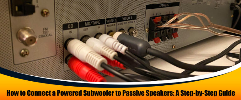 Select How to Connect a Powered Subwoofer to Passive Speakers: A Step-by-Step Guide How to Connect a Powered Subwoofer to Passive Speakers